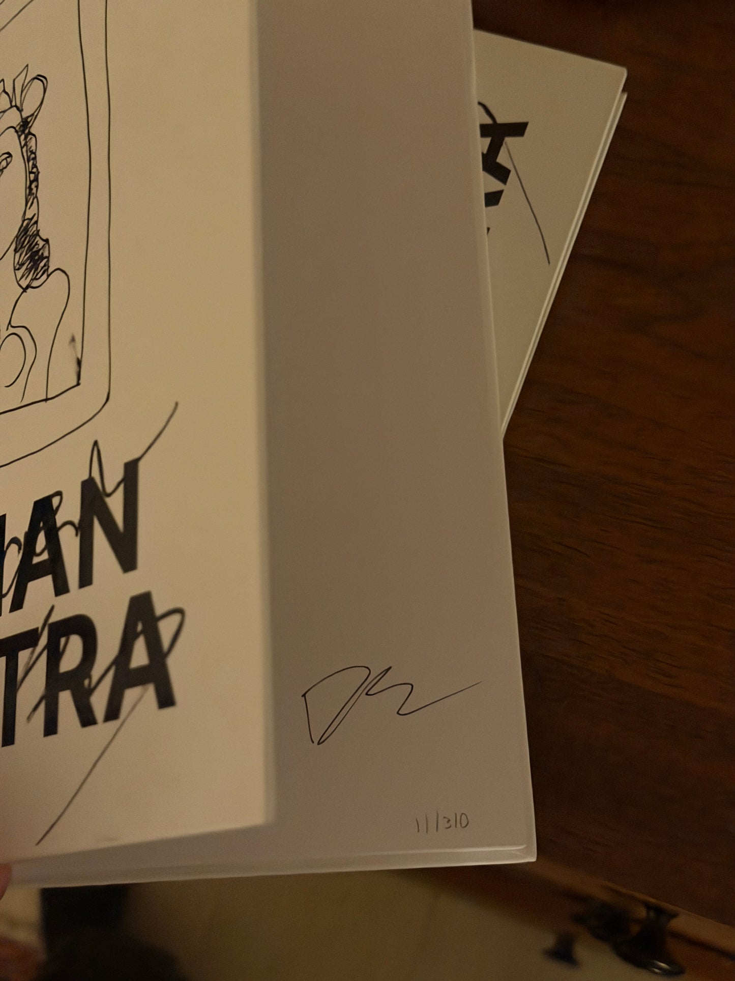 Dorian Electra ART Book